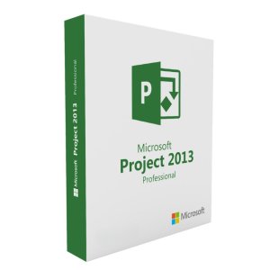 Software Microsoft Project 2013