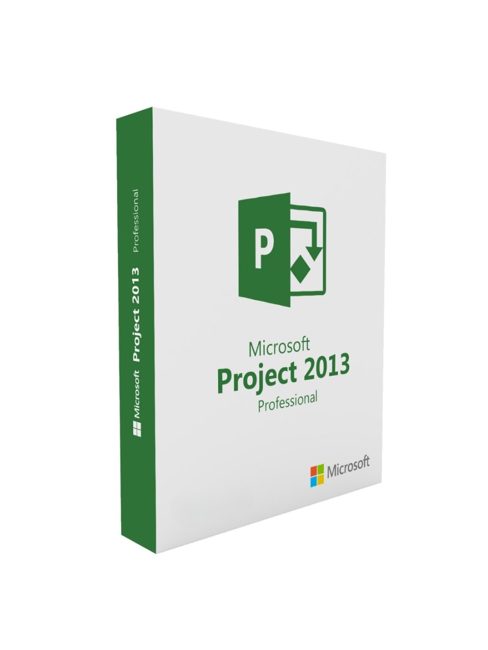 Software Microsoft Project 2013